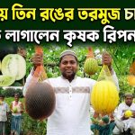 তরমুজ চাষে তাক লাগালেন কৃষক রিপন