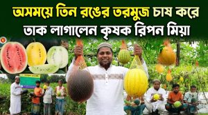 তরমুজ চাষে তাক লাগালেন কৃষক রিপন