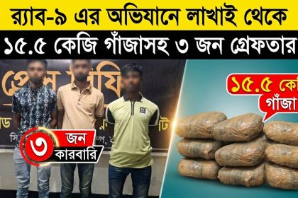 গাঁজাসহ ৩ জন মাদক কারবারি গ্রেফতার