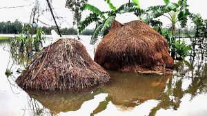হবিগঞ্জে বন্যায় শত কোটি টাকার বেশি লোকসান