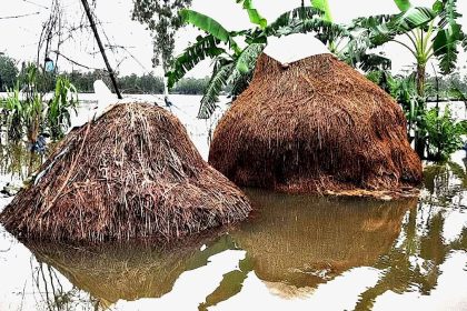 হবিগঞ্জে বন্যায় শত কোটি টাকার বেশি লোকসান