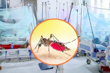 ডেঙ্গুতে একদিনে হাসপাতালে ভর্তি ১৬৩