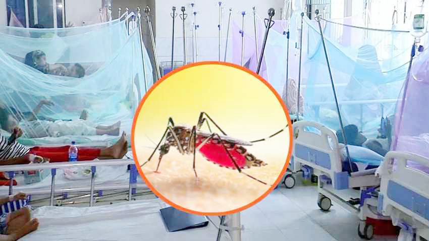 ডেঙ্গুতে একদিনে হাসপাতালে ভর্তি ১৬৩