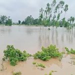 হবিগঞ্জে উজানের ঢল ও টানা বৃষ্টিতে বন্যার আশঙ্কা