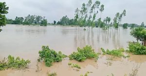 হবিগঞ্জে উজানের ঢল ও টানা বৃষ্টিতে বন্যার আশঙ্কা