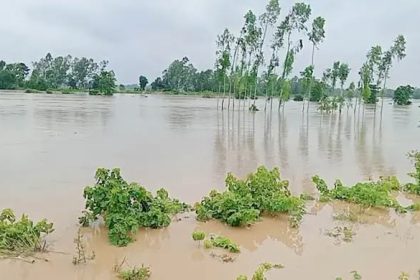 হবিগঞ্জে উজানের ঢল ও টানা বৃষ্টিতে বন্যার আশঙ্কা