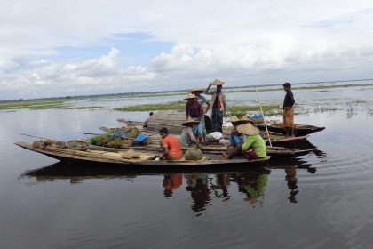 নিষিদ্ধ জালের দাপটে হুমকিতে হাওরের দেশীয় মাছ