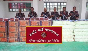 হবিগঞ্জ ৫৫ বিজিবির অভিযানে ৬৫ লাখ মূল্যের ভারতীয় পণ্য জব্দ