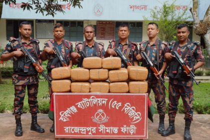 হবিগঞ্জ ৫৫ বিজিবির অভিযানে ৬০ কেজি গাঁজা জব্দ