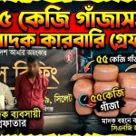 ৫৫কেজি গাঁজাসহ দুই মাদক কারবারি গ্রেফতার
