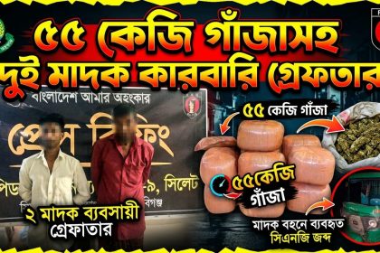 ৫৫কেজি গাঁজাসহ দুই মাদক কারবারি গ্রেফতার