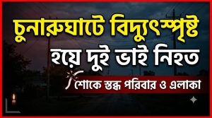 চুনারুঘাটে বিদ্যুৎস্পৃষ্ট প্রাণ গেলো দুই ভাইয়ের