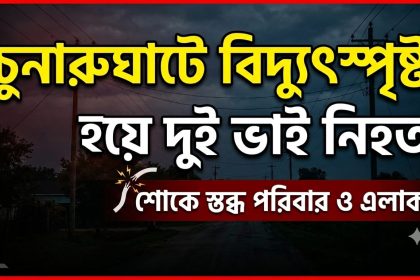 চুনারুঘাটে বিদ্যুৎস্পৃষ্ট প্রাণ গেলো দুই ভাইয়ের