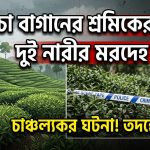 দুই নারীর মরদেহ উদ্ধার