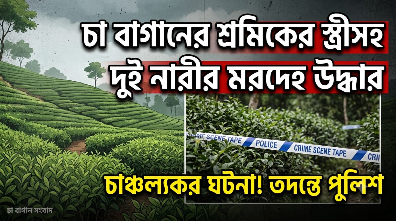 দুই নারীর মরদেহ উদ্ধার