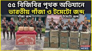 ৫৫ বিজিবির পৃথক অভিযানে ভারতীয় গাঁজা ও টমেটো জব্দ