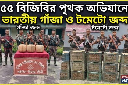 ৫৫ বিজিবির পৃথক অভিযানে ভারতীয় গাঁজা ও টমেটো জব্দ