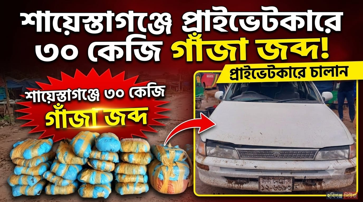 শায়েস্তাগঞ্জে প্রাইভেটকার থেকে ৩০ কেজি গাঁজা জব্দ