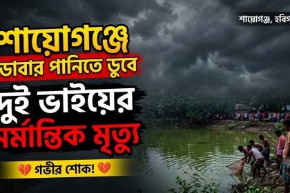 শায়োগঞ্জে ডোবার পানিতে ডুবে দুই ভাইয়ের মর্মান্তিক মৃত্যু