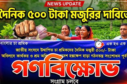 দৈনিক ৫০০ টাকা মজুরির দাবিতে চা বাগানে শ্রমিকদের গণবিক্ষোভ