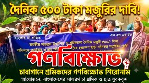 দৈনিক ৫০০ টাকা মজুরির দাবিতে চা বাগানে শ্রমিকদের গণবিক্ষোভ