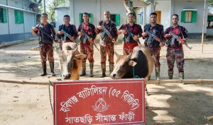 ৫৫ বিজিবির অভিযানে ২০ লাখ টাকার মাদক-শাড়ি ও গরু জব্দ