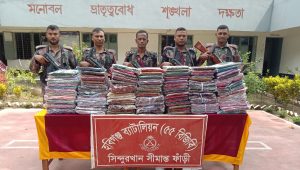 ৫৫ বিজিবির অভিযানে ২০ লাখ টাকার মাদক-শাড়ি ও গরু জব্দ