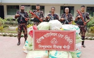 হবিগঞ্জ ৫৫ বিজিবির অভিযানে ১ কোটি টাকা মূল্যের ভারতীয় পণ্য জব্দ
