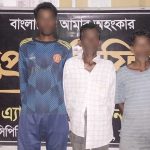 চুনারুঘাট থেকে ৫০ কেজি গাঁজাসহ ৩ কারবারি গ্রেফতার