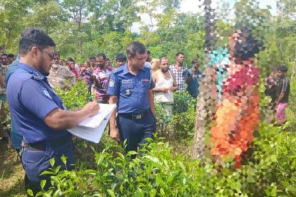 চা বাগানের নিমগাছে ঝুলন্ত অবস্থায় নবদম্পতির মরদেহ উদ্ধার