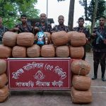 ৫৫ বিজিবির অভিযানে ১৩৩ কেজি গাঁজা ও ১৮ বোতল মদ জব্দ