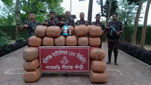 ৫৫ বিজিবির অভিযানে ১৩৩ কেজি গাঁজা ও ১৮ বোতল মদ জব্দ