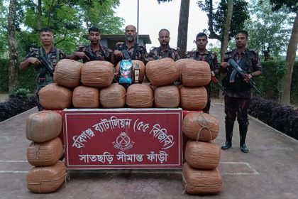 ৫৫ বিজিবির অভিযানে ১৩৩ কেজি গাঁজা ও ১৮ বোতল মদ জব্দ