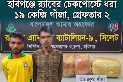 ১৯ কেজি গাঁজাসহ দুই মাদক কারবারিকে গ্রেফতার