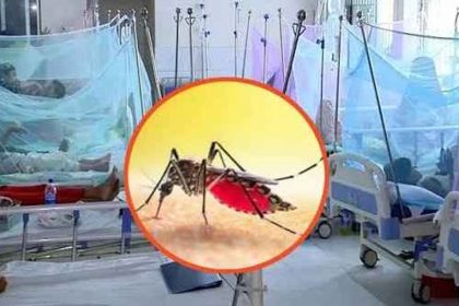 ডেঙ্গুতে সারাদেশে চারজনের মৃত্যু