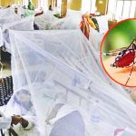ডেঙ্গু আক্রান্ত হয়ে সাতজনের মৃত্যু