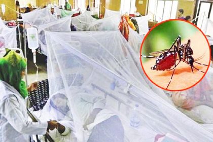 ডেঙ্গু আক্রান্ত হয়ে সাতজনের মৃত্যু