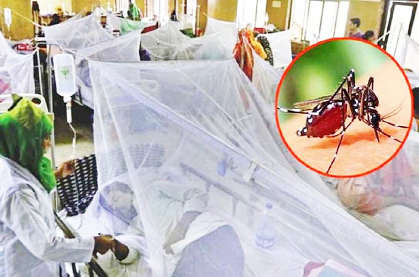 ডেঙ্গু আক্রান্ত হয়ে সাতজনের মৃত্যু