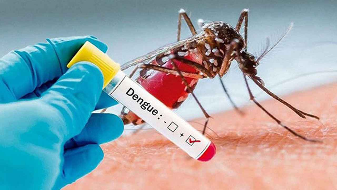 ডেঙ্গুতে দুজনের মৃত্যু