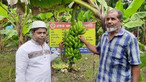 কলা চাষ করে এলাকায় নতুন সম্ভাবনার দৃষ্টান্ত স্থাপন