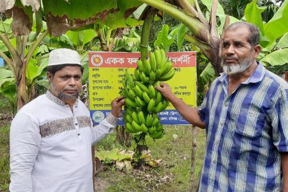 কলা চাষ করে এলাকায় নতুন সম্ভাবনার দৃষ্টান্ত স্থাপন