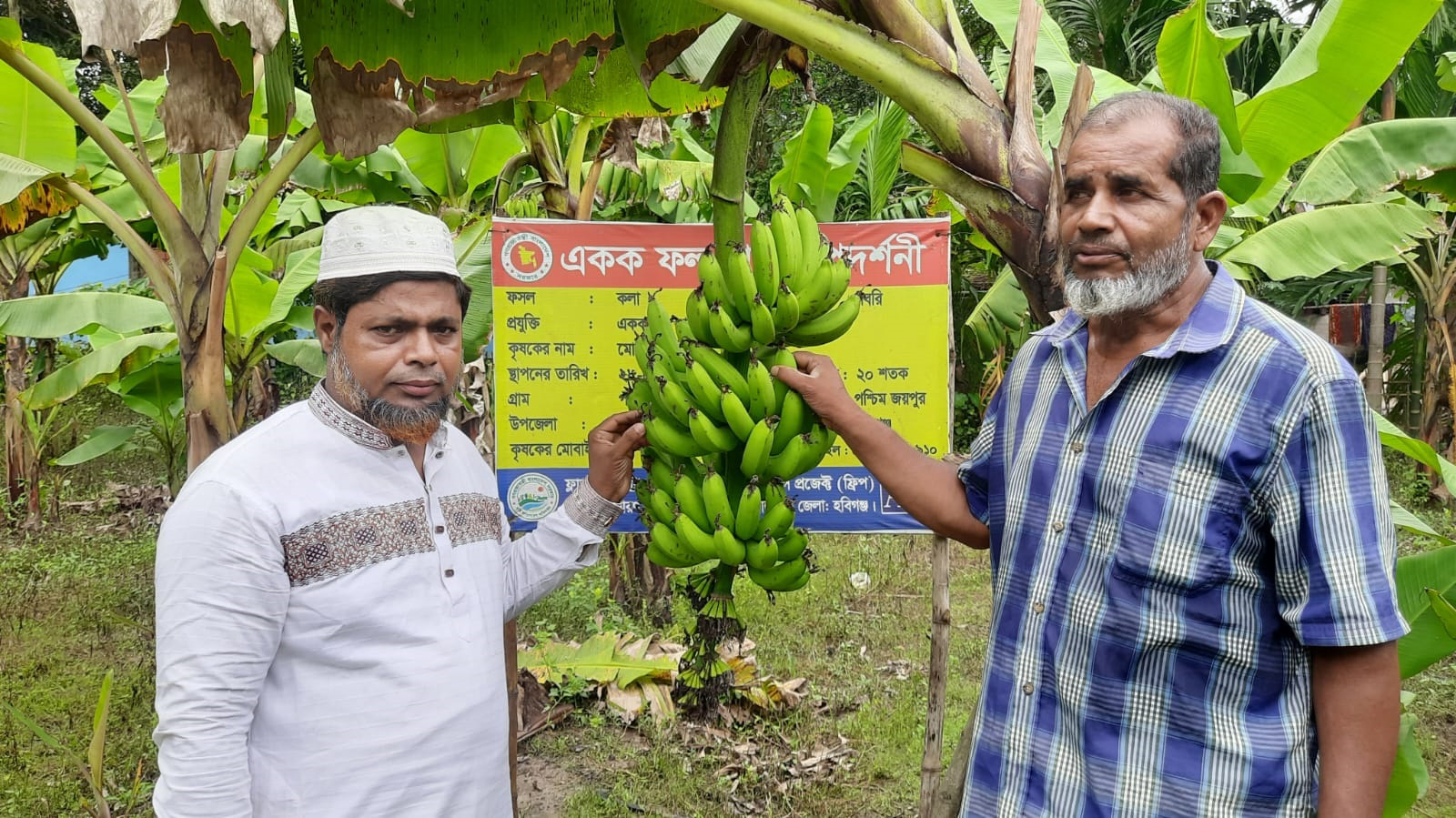 কলা চাষ করে এলাকায় নতুন সম্ভাবনার দৃষ্টান্ত স্থাপন