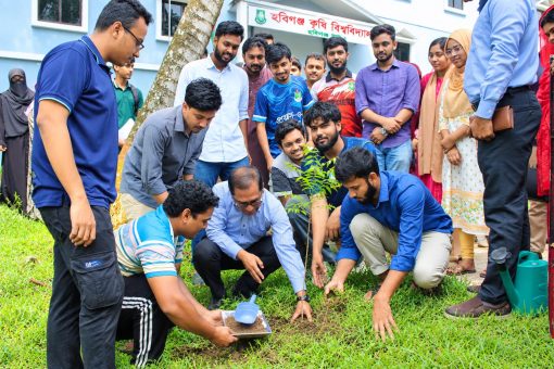 হবিগঞ্জ কৃষি বিশ্ববিদ্যালয়ে বৃক্ষরোপণ অনুষ্ঠিত