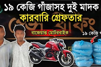 নবীগঞ্জ থেকে ১৯ কেজি গাঁজাসহ দুই কারবারি গ্রেফতার