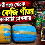 নবীগঞ্জ থেকে ১৩ কেজি গাঁজাসহ কারবারি গ্রেফতার