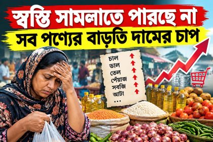 স্বস্তি সামলাতে পারছে না সব পণ্যের বাড়তি দামের চাপ