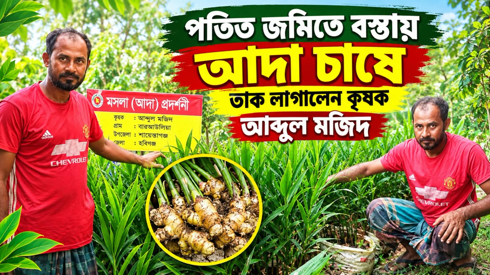 পতিত জমিকে কাজে লাগিয়ে বস্তায় আদা চাষে নতুন সম্ভাবনা