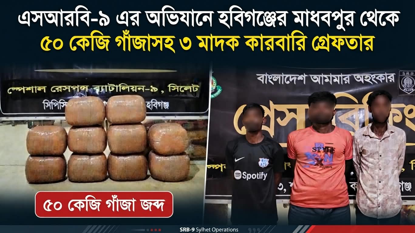 মাধবপুর থেকে ৫০ কেজি গাঁজাসহ ৩ কারবারি গ্রেফতার