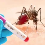 ডেঙ্গুতে আক্রান্ত হয়ে ৬ জনের মৃত্যু