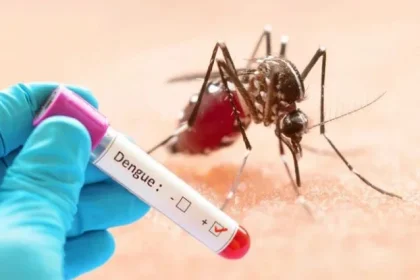 ডেঙ্গুতে আক্রান্ত হয়ে ৬ জনের মৃত্যু